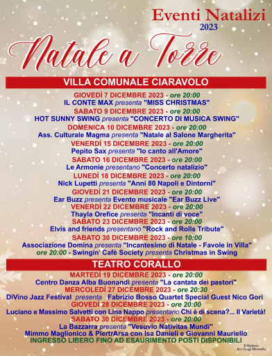 Natale a torre (1)